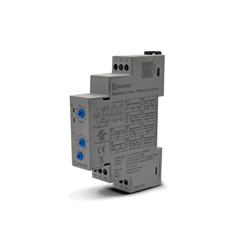 Trumeter TS09 TS Riel DIN Relé mecánico 0.1 seg ~ 100 h 8A a 240VCA