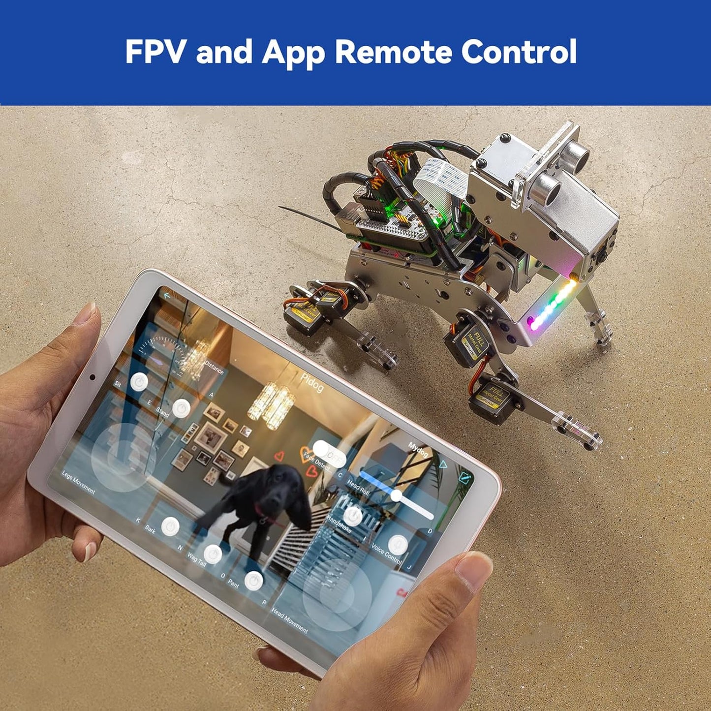 SunFounder PiDog AI Robot Dog Kit para Raspberry Pi 4/3B+/3B/Zero 2W, ChatGPT-4o habilitado con comando de voz y reconocimiento de video, control de aplicaciones, FPV, 12 servos, giroscopio, cámara,