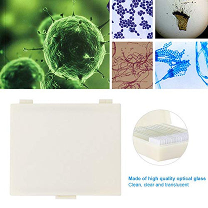 20pcs microscopio diapositivas biología y patología preparadas microbiológicas bacterianas microscopio diapositivas conjunto con caja de plástico