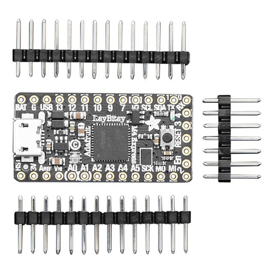 Adafruit Industries LLC 3800 SAM D ITSYBITSY M4EXPRESS ATSAMD51G19A MCU 32 bits ARM® Cortex®-M4