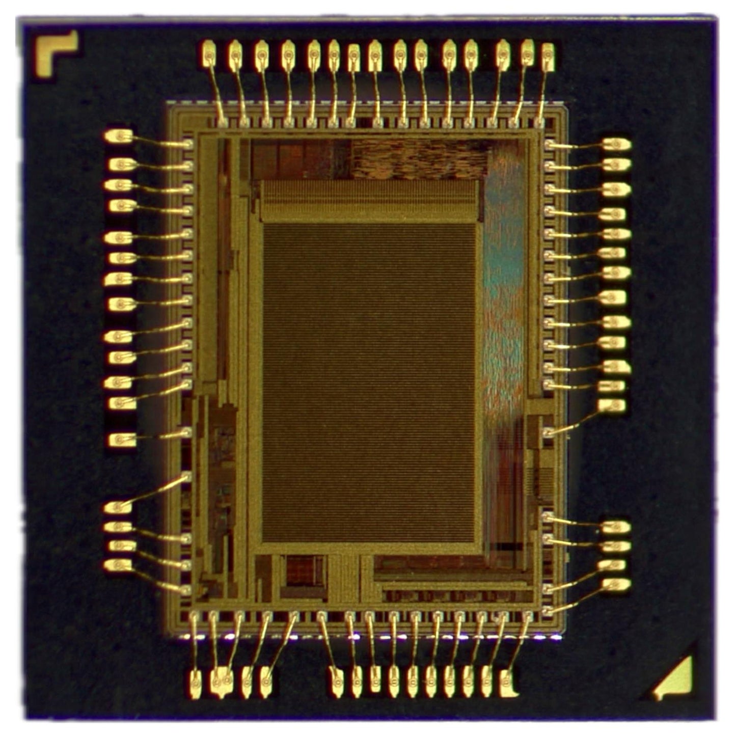 AIStorm, Inc AISC110C Cheetah CMOS 80H x 120V