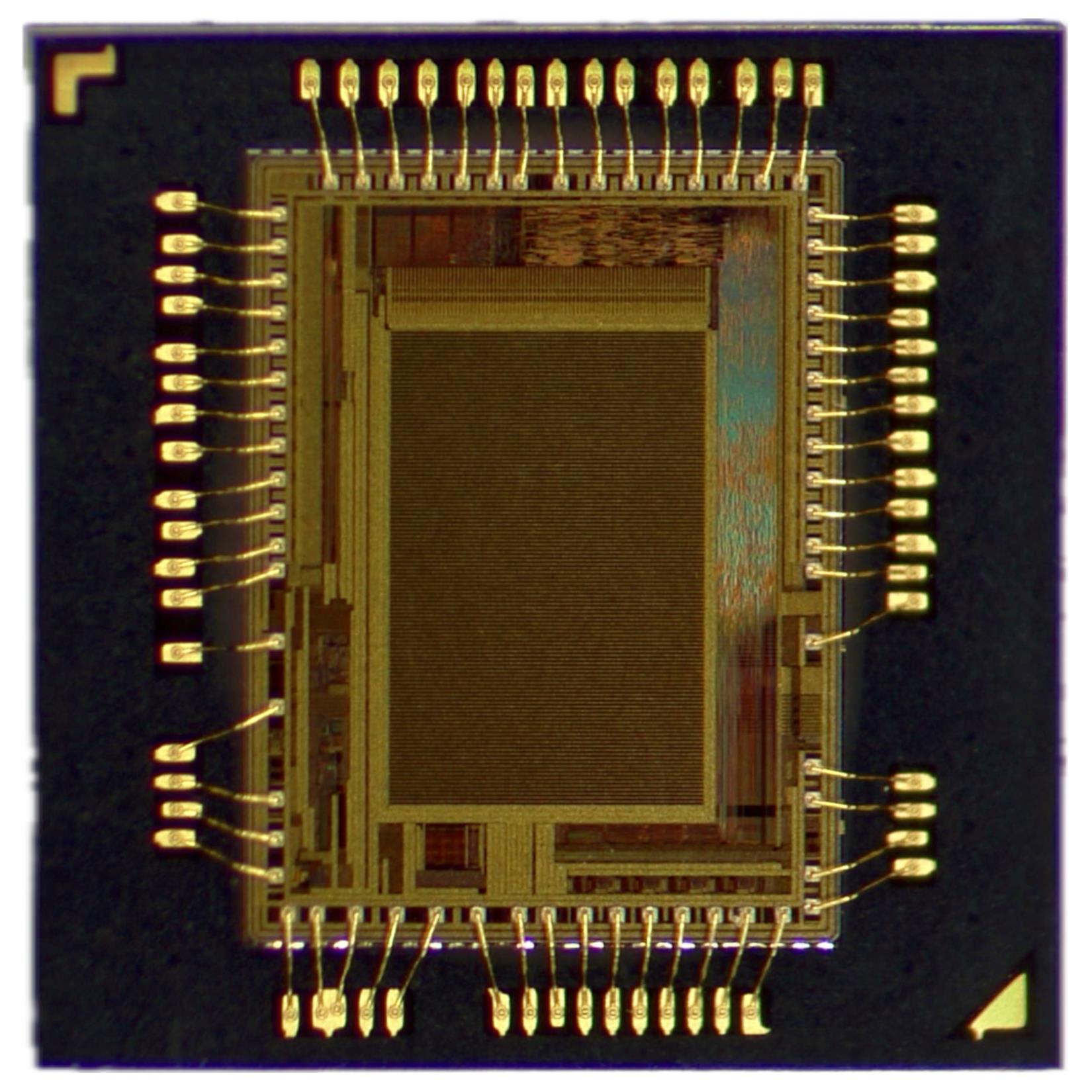 AIStorm, Inc AISC110C Cheetah CMOS 80H x 120V