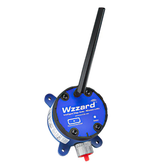 Advantech Corporation BB-WSW2C00015-1 Wzzard™ Transceptor LoRaWAN
