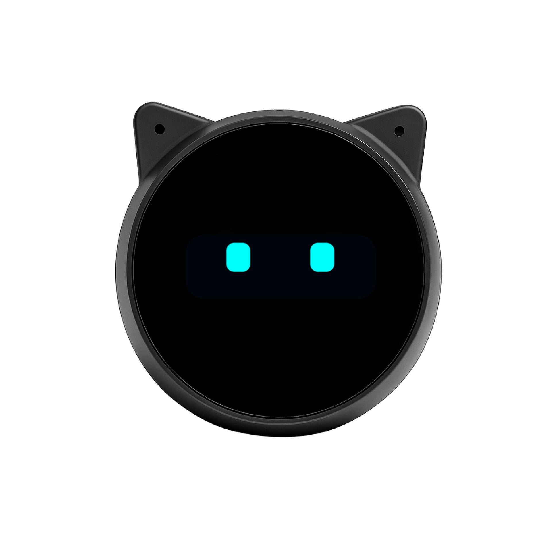Espressif Systems ECHOEAR-EN - - -
