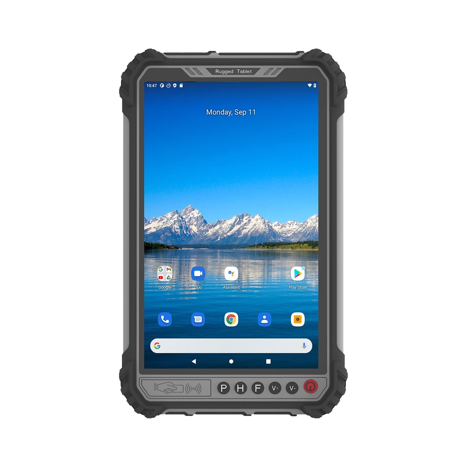 Chipsee HPC-MT6771-080 * 8.0'' MT6771 HANDHELD