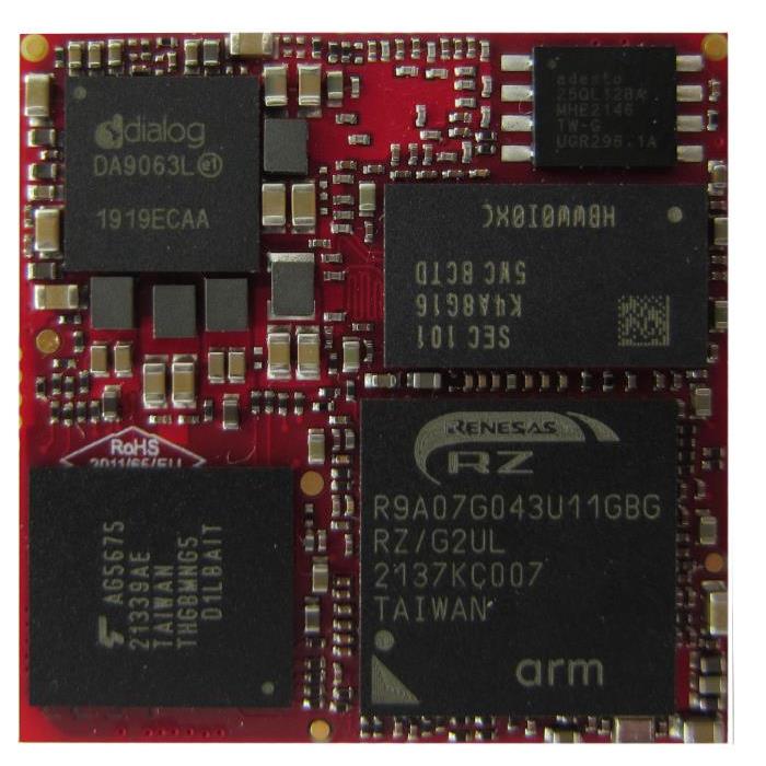 ARIES Embedded MSRZG2UL-BAA RZ/G - R9A07G043U11GBG